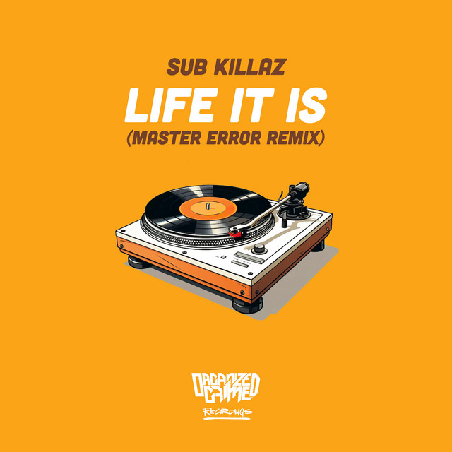 Life It Is - Master Error Remix album art