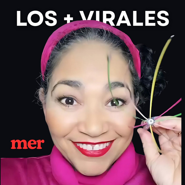 MER ASMR