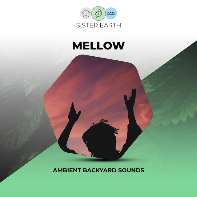 Mellow Ambient Backyard Sounds - EP by Sleep Sounds of Nature | Spotify
