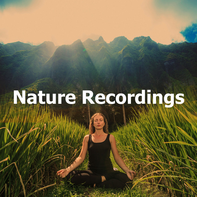 Nature Recordings - Album by Nature Sounds Relaxation: Music for Sleep ...