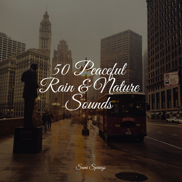 50 Peaceful Rain & Nature Sounds - Album by Soothing Chill Out for ...