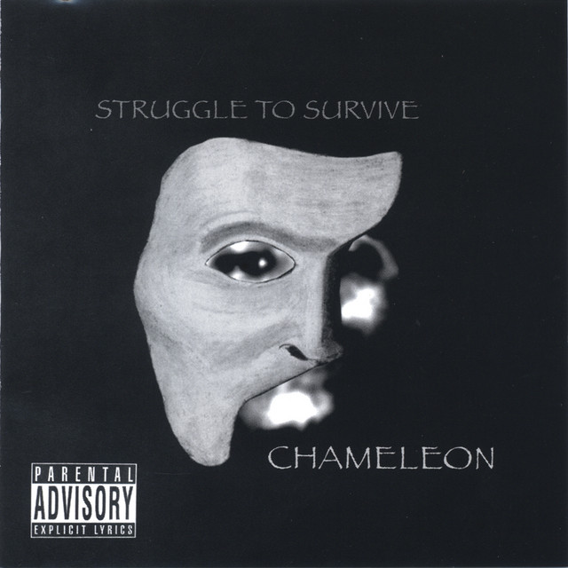 Struggle To Survive cover art