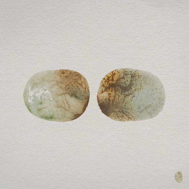 Wild Swim - Regrown