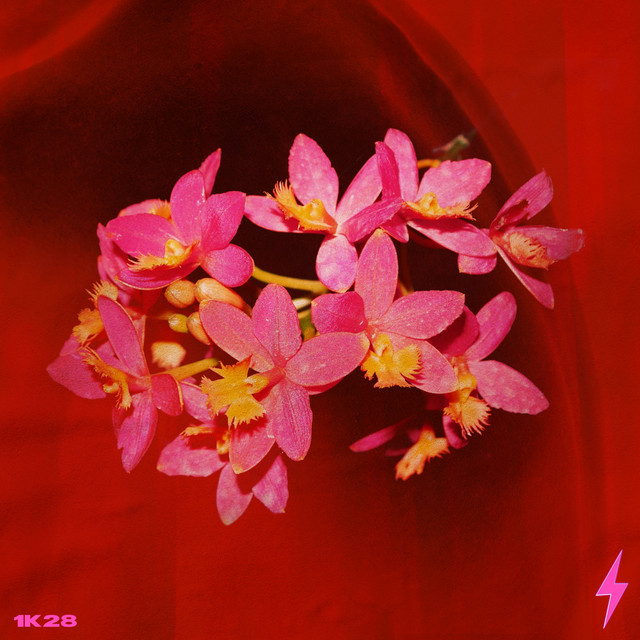 All Night cover art