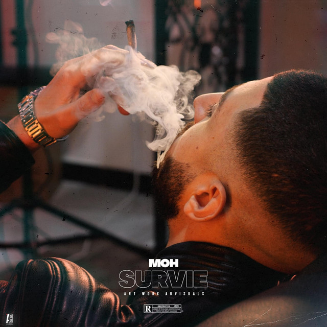 Survie cover art