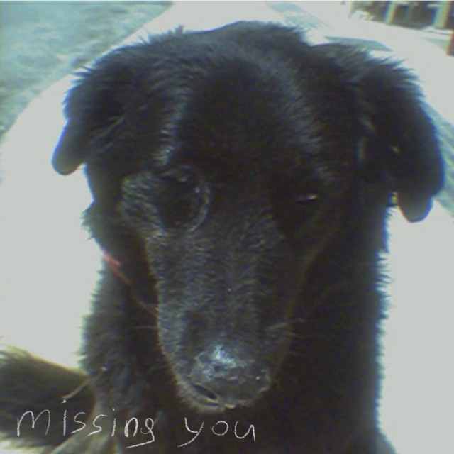 missing you cover art