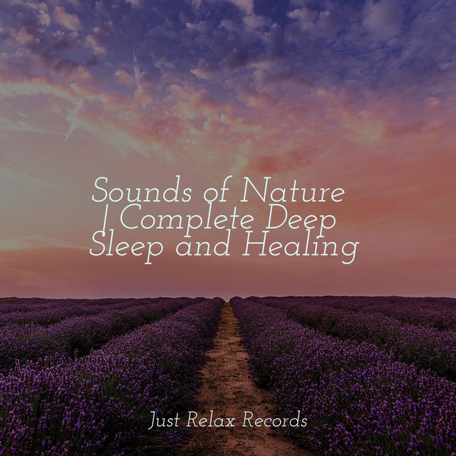 Sounds of Nature | Complete Deep Sleep and Healing - Album by ...