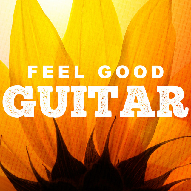 Feel Good Guitar cover