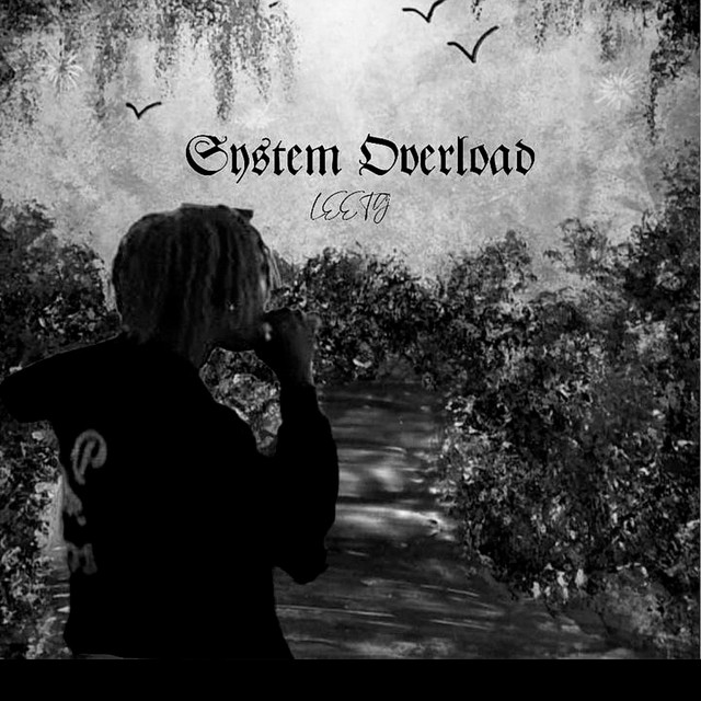 System Overload cover art