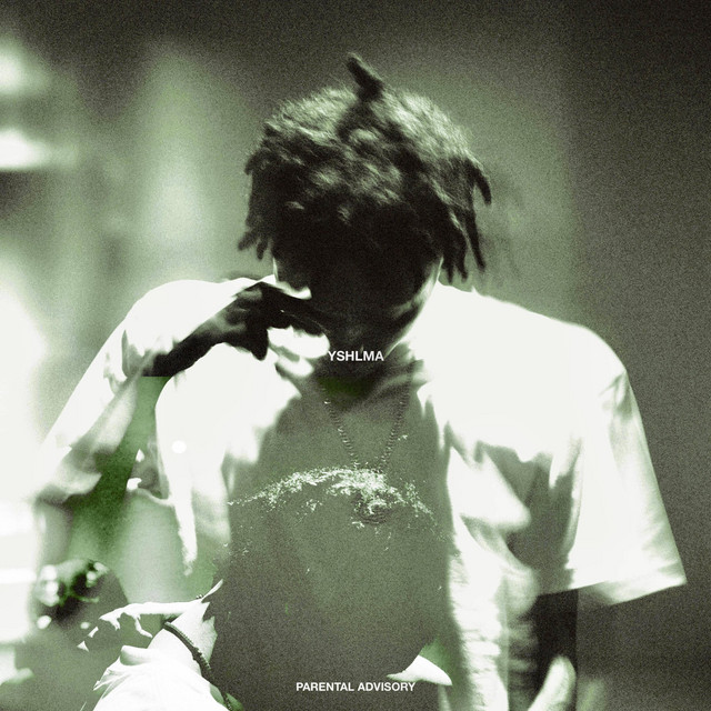 You Should Have Left Me Alone cover art