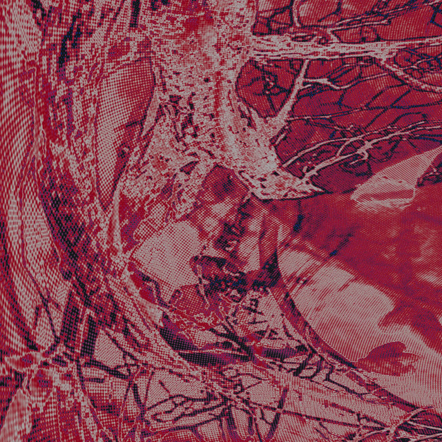 Matrix of Confusion cover art