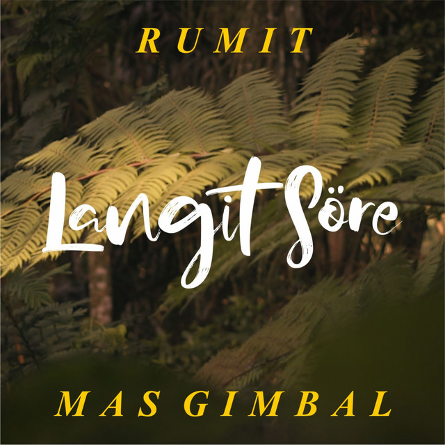 Mas Gimbal