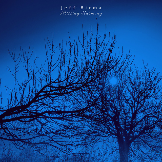 Missing Harmony by Jeff Birma