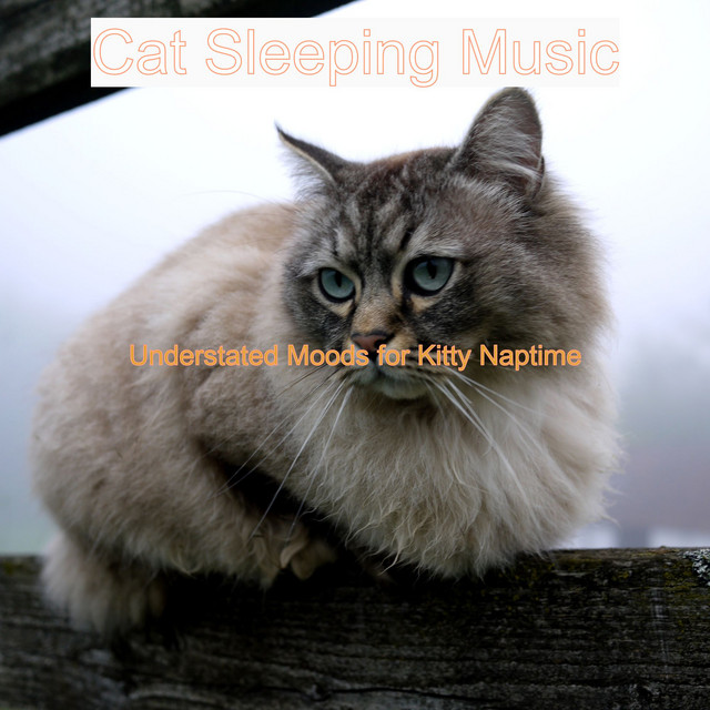 Understated Moods for Kitty Naptime cover art
