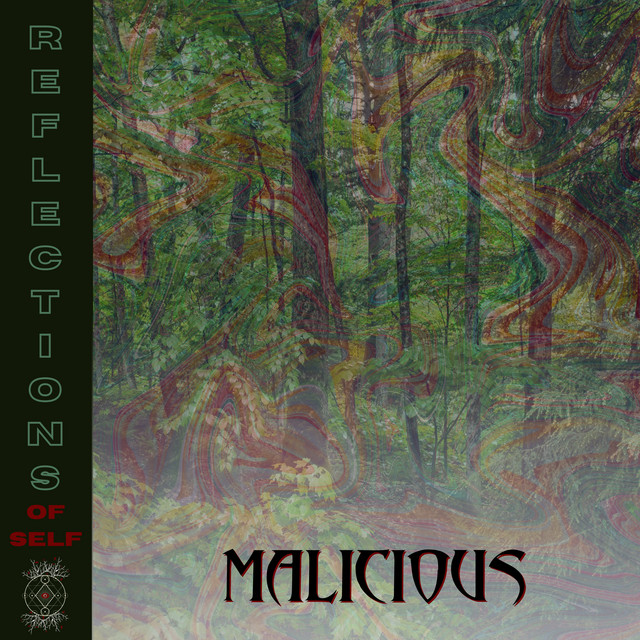Reflections of Self cover art