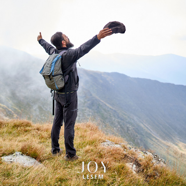 Обкладинка: Joy — Lesfm