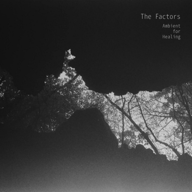 0601 am Rain Forest cover art