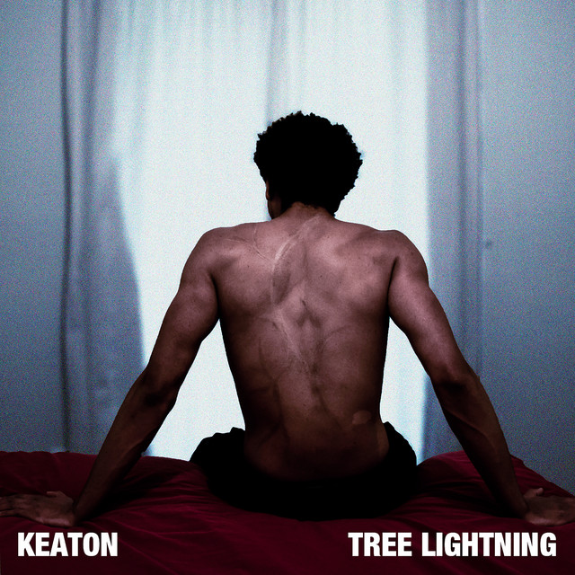 Tree Lightning cover art