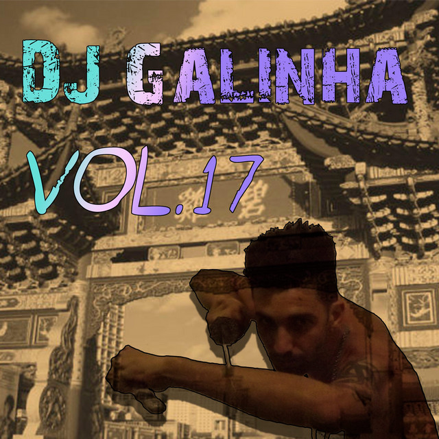 DJ Galinha Vol 17