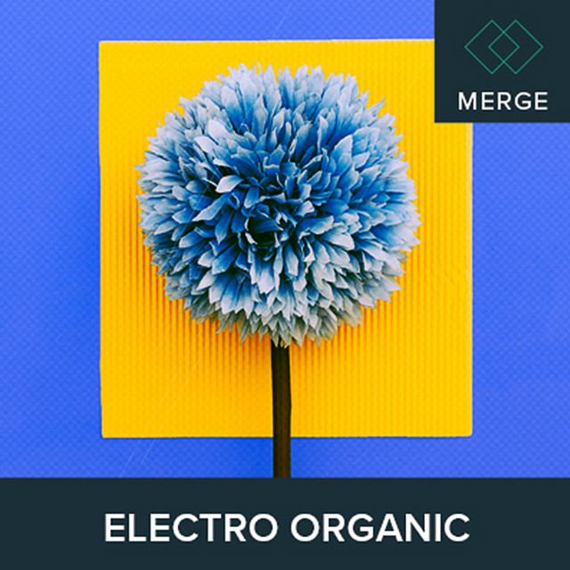 Electro Organic cover art