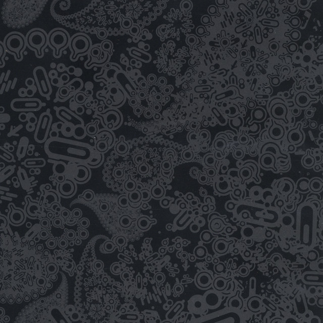 Salmataxia cover art