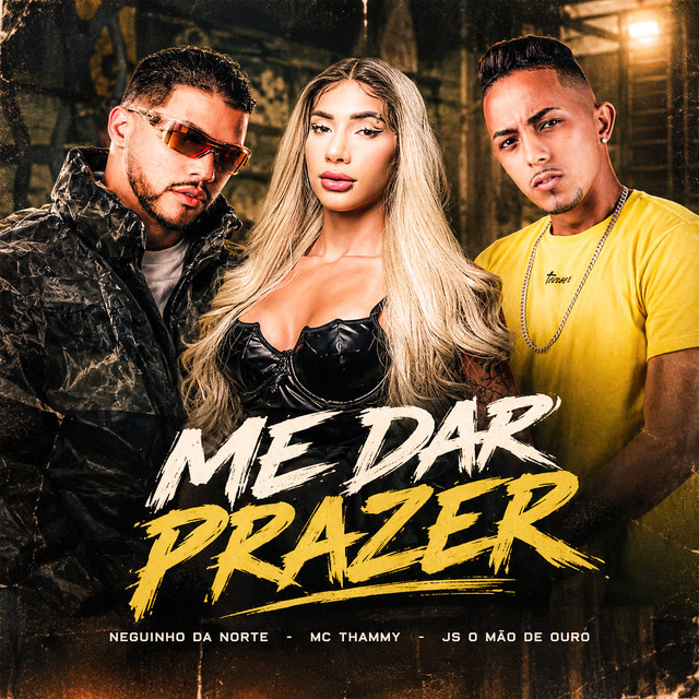 Me Dar Prazer album image