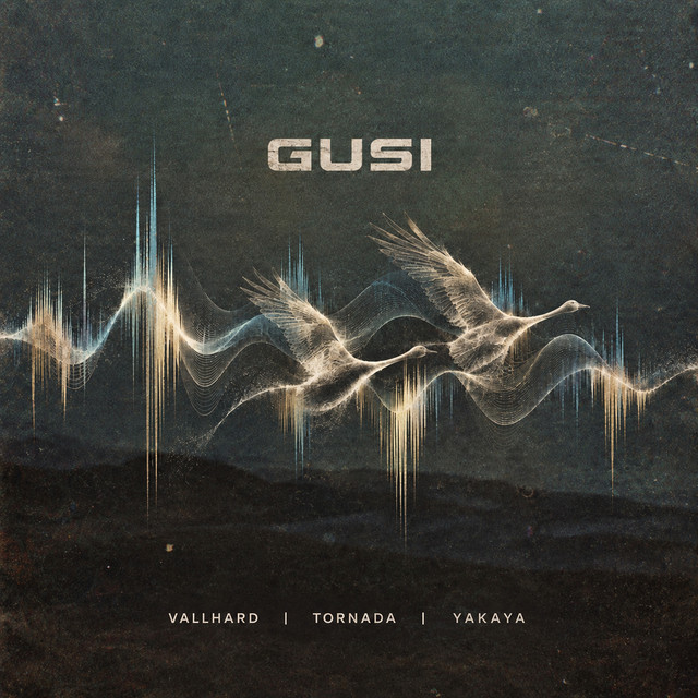 Обкладинка треку Gusi