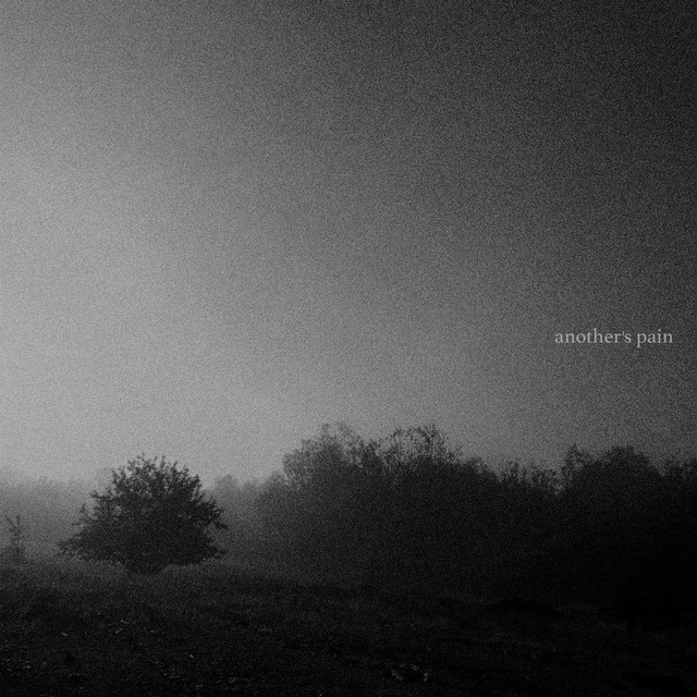 another's pain (single)