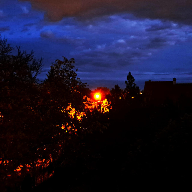 The Night Comes cover art