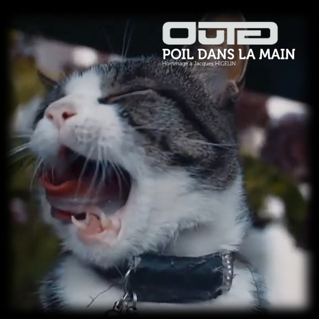 Poil dans la main - Hommage à Jacques Higelin