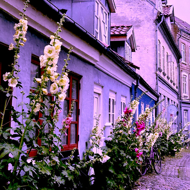 Can You Hear The Music EP by Sweetemie Spotify