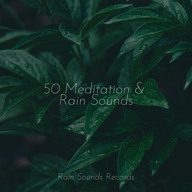 50 Meditation & Rain Sounds - Album by Rest & Relax Nature Sounds ...
