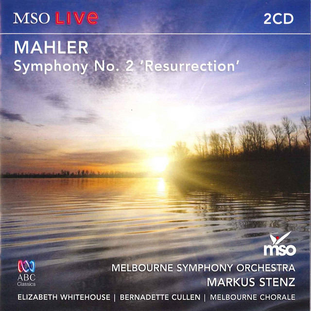 Symphony No. 2 in C Minor "Resurrection": 5. Im Tempo des Scherzo - Live cover art