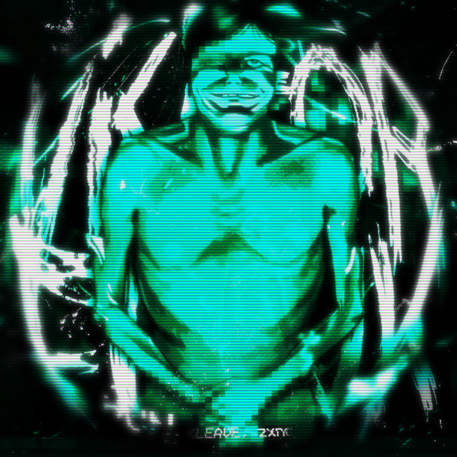 VISITOR FUNK cover art