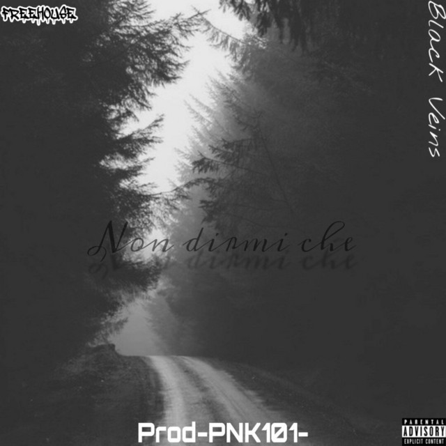 Non Dirmi Che cover