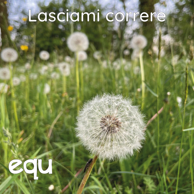 Lasciami correre cover