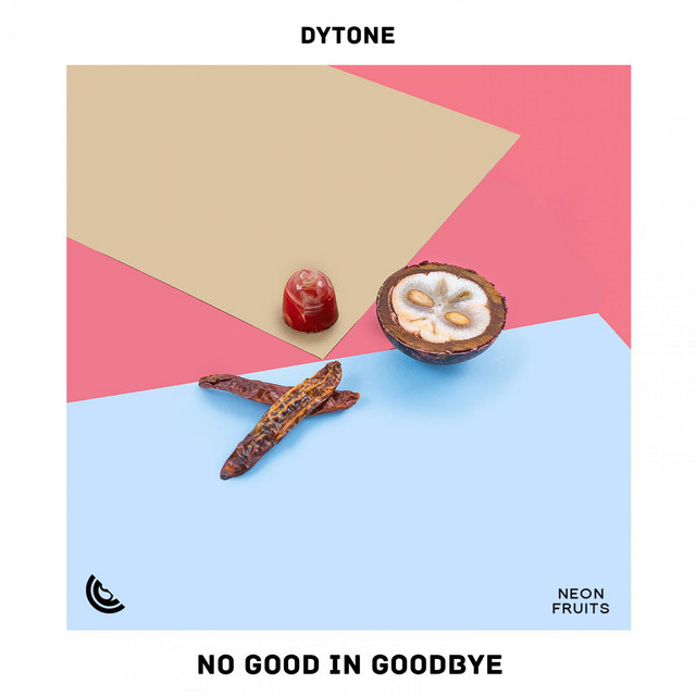 No Good In Goodbye cover