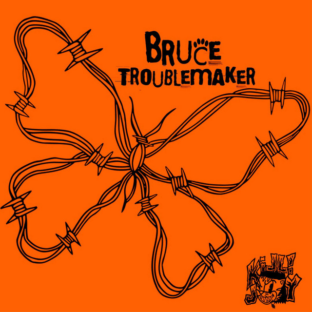 Bruce Troublemaker cover art
