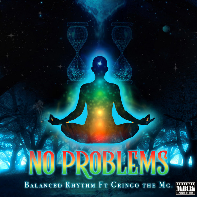Cover du titre No Problems