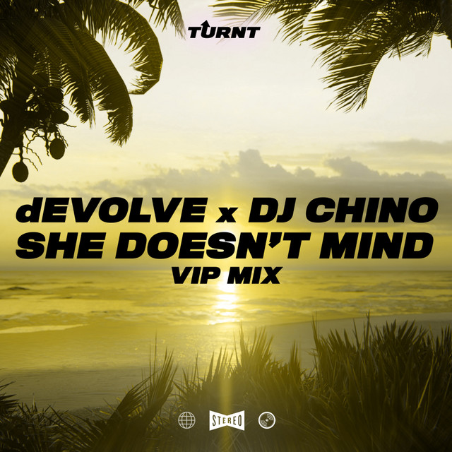 She Doesn't Mind (VIP Mix) cover art