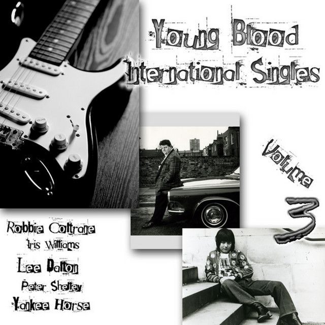 Young Blood International Singles Collection Vol. 3 cover