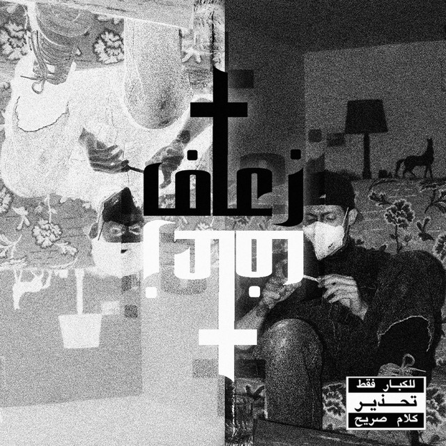 Z3f cover