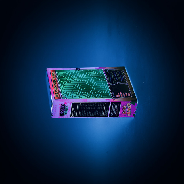 Neon Visions cover art