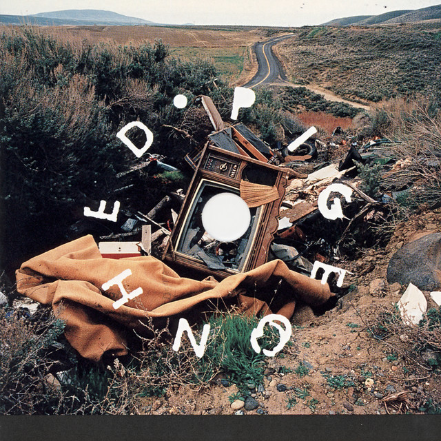 Pigeonhed cover art