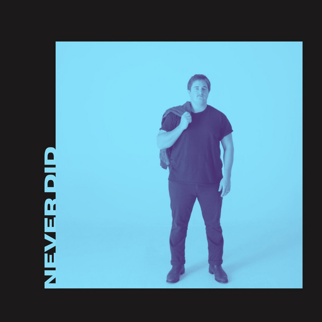 Never Did cover art