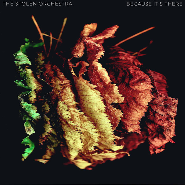 Because It's There (single)