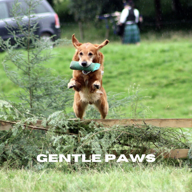 Gentle Paws
