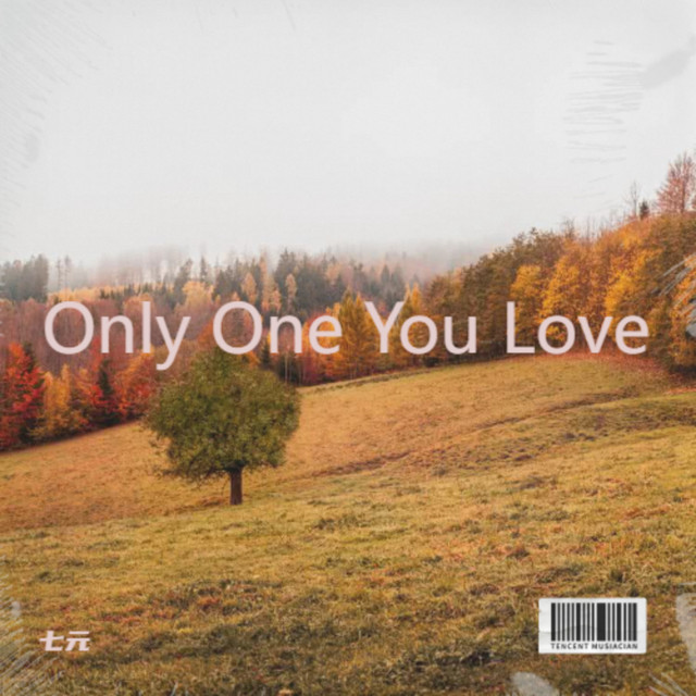 Only One You Love album image