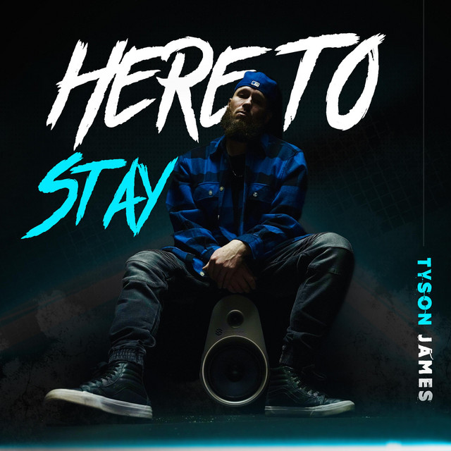 Here to Stay cover art