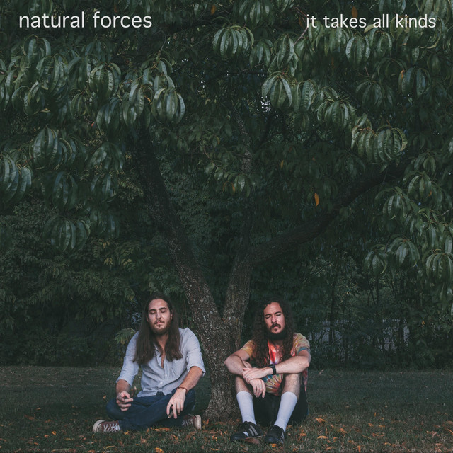 Natural Forces